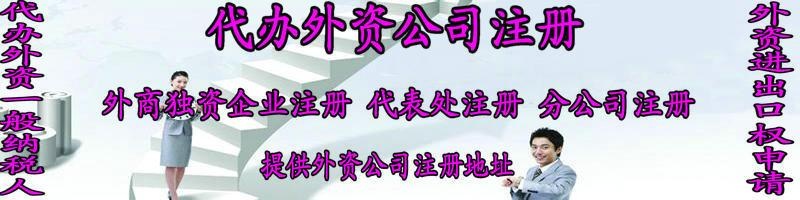 注冊(cè)外資企業(yè)名稱有限公司章程(范本)