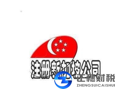 外資公司注冊：如何注冊新加坡公司