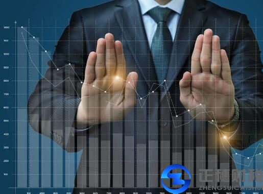 地稅稅務(wù)申報(bào)